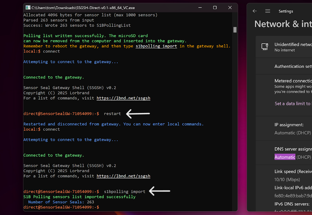 SSGSH Direct Utility being used to enter SSGSH commands