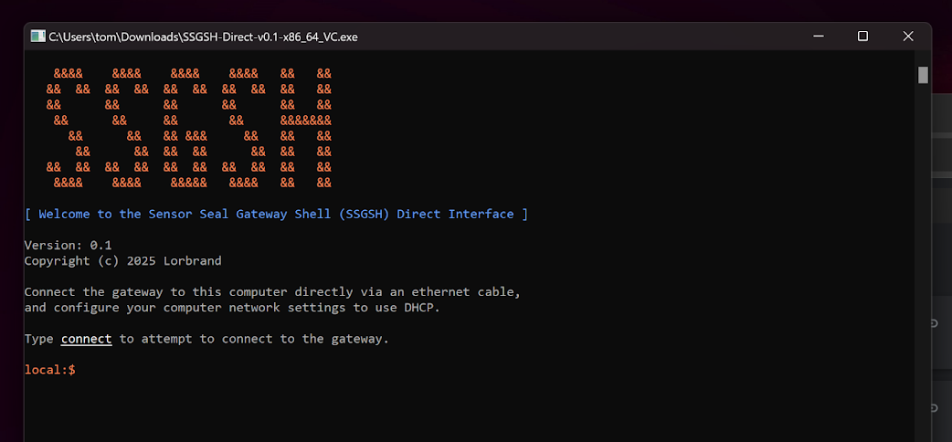 SSGSH Direct Utility running on Windows