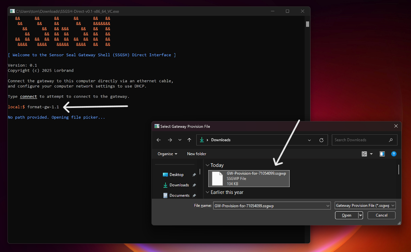 SSGSH Direct Utility being used to format a gateway's microSD card